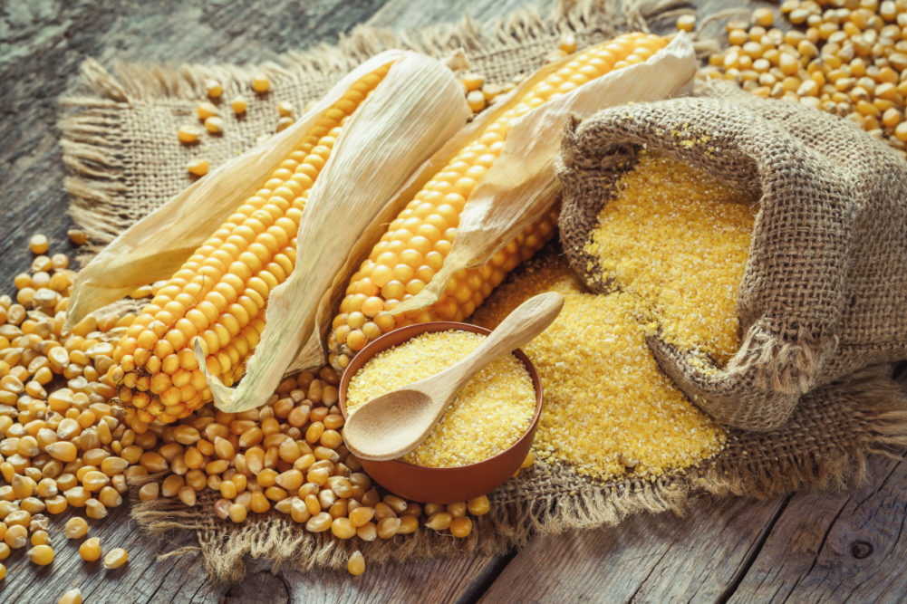 Corn-flour_AdobeStock_94855632_E